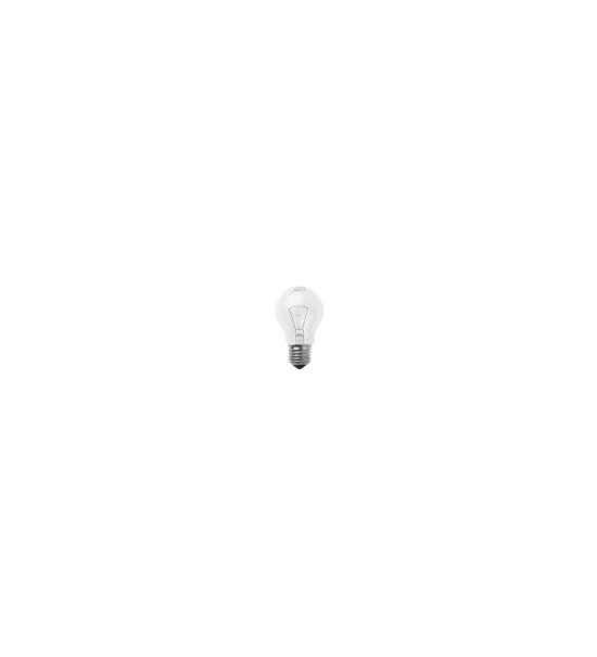 THPG 101144 Żarówka Radium przezroczysta 60 W (10 sztuk)