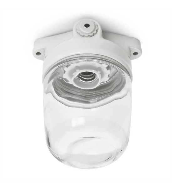 THPG 139631 Lampa sufitowa LISILUX biała L, klosz przezroczysty