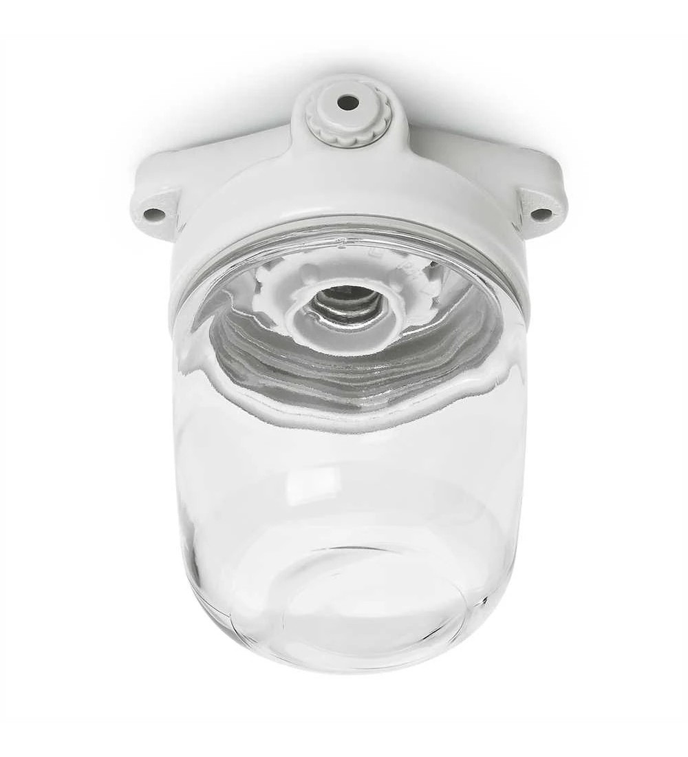 THPG 139631 Lampa sufitowa LISILUX biała L, klosz przezroczysty