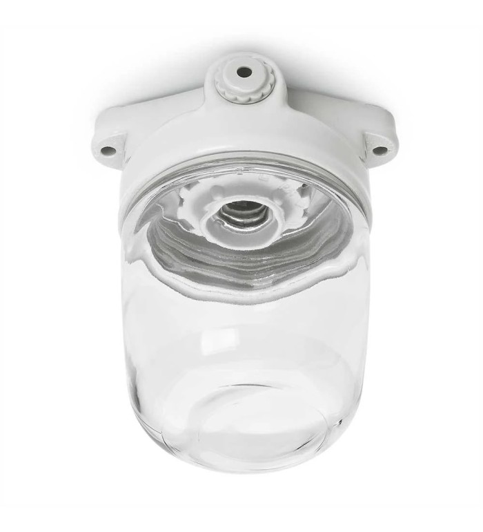 THPG 139631 Lampa sufitowa LISILUX biała L, klosz przezroczysty