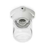 THPG 139629 Lampa sufitowa LISILUX biała S, klosz przezroczysty