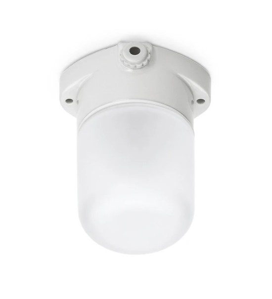 THPG 177050 Lampa sufitowa LISILUX biała S, klosz matowy (trawiony)