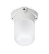 THPG 177050 Lampa sufitowa LISILUX biała S, klosz matowy (trawiony)