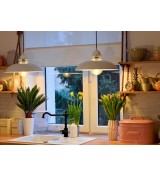 Lampa Origins of Light Soul 02